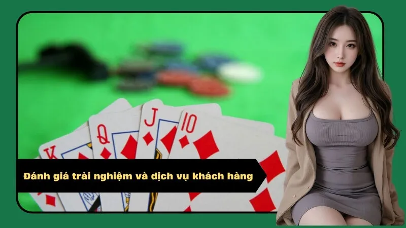 Đánh giá trải nghiệm và dịch vụ khách hàng