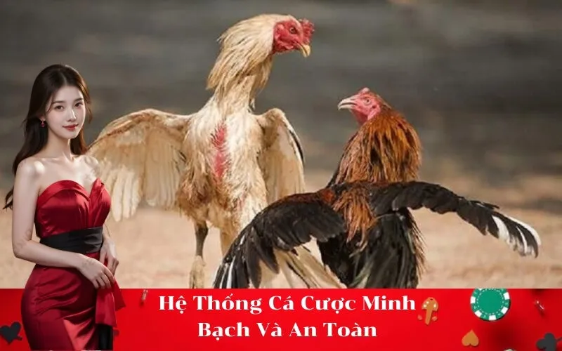 Hệ Thống Cá Cược Minh Bạch Và An Toàn