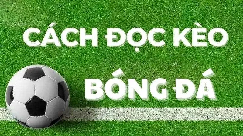 cách đọc kèo cá độ bóng đá
